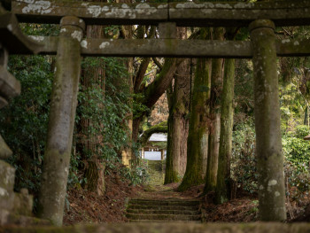 A small shrine hidden among trees along the Philosopher's Path Photo by Kouji Tsuru on Unsplash A small shrine hidden among trees along the Philosopher's Path Photo by Kouji Tsuru on Unsplash