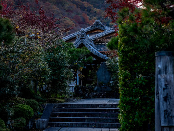 Traditional garden gate opening to reveal distant mountains Photo by Daniil K on Unsplash Traditional garden gate opening to reveal distant mountains Photo by Daniil K on Unsplash