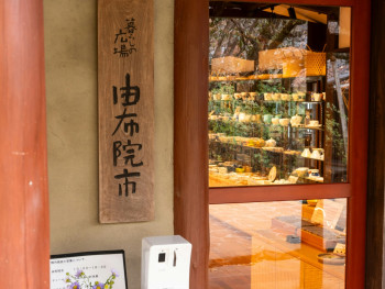 Garden detour or tea shop moment Photo by Kouji Tsuru on Unsplash Garden detour or tea shop moment Photo by Kouji Tsuru on Unsplash