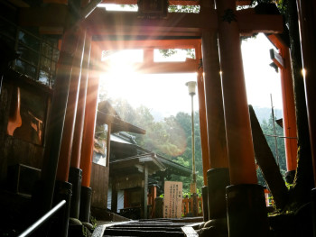 The famous vermillion torii gates of Fushimi Inari shrine ascending the mountain in morning light Photo by Chantal Lim on Unsplash The famous vermillion torii gates of Fushimi Inari shrine ascending the mountain in morning light Photo by Chantal Lim on Unsplash