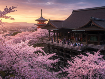 View from the Kiyomizu-dera balcony during cherry blossom season View from the Kiyomizu-dera balcony during cherry blossom season