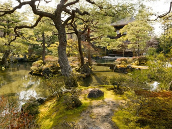Expansive moss garden with ancient maple trees at Sanzen-in Temple Expansive moss garden with ancient maple trees at Sanzen-in Temple