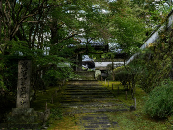 Stone path winding through mountain forest leading to the villa Photo by Kouji Tsuru on Unsplash Stone path winding through mountain forest leading to the villa Photo by Kouji Tsuru on Unsplash