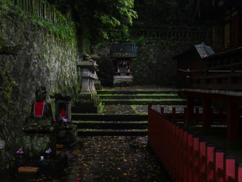 A shrine hidden among trees in Gion, with no tourists around Photo by Kouji Tsuru on Unsplash A shrine hidden among trees in Gion, with no tourists around Photo by Kouji Tsuru on Unsplash