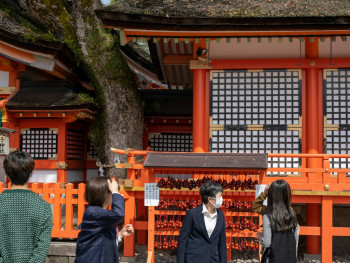 A friendly local guide chatting with travelers in front of a small Kyoto temple, with relaxed smiles and an informal atmosphere. Photo by Kouji Tsuru on Unsplash A friendly local guide chatting with travelers in front of a small Kyoto temple, with relaxed smiles and an informal atmosphere. Photo by Kouji Tsuru on Unsplash