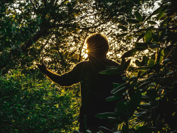 A traveler standing quietly in a moss-covered temple garden, sunlight filtering through the trees, capturing a moment of stillness and reflection Photo by Vasu Pendyala on Unsplash A traveler standing quietly in a moss-covered temple garden, sunlight filtering through the trees, capturing a moment of stillness and reflection Photo by Vasu Pendyala on Unsplash