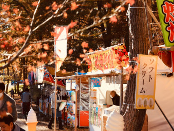 Flea market stalls beneath colorful maple trees Photo by Chen Li on Unsplash