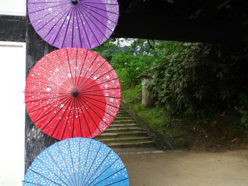Traditional Japanese umbrella against temple wall with raindrops Photo by Naoki Suzuki on Unsplash