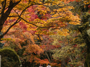 Monk in traditional robes walking meditation path with autumn colors Photo by Diana Lisunova on Unsplash Monk in traditional robes walking meditation path with autumn colors Photo by Diana Lisunova on Unsplash