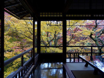 Traditional Japanese inn room with autumn garden view Photo by Gang Hao on Unsplash