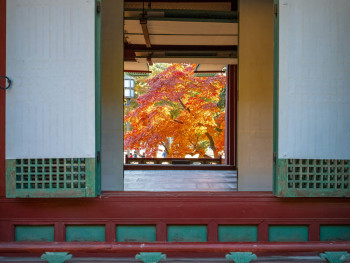 Traditional ryokan room with tatami and autumn garden view Photo by Sung Jin Cho on Unsplash Traditional ryokan room with tatami and autumn garden view Photo by Sung Jin Cho on Unsplash