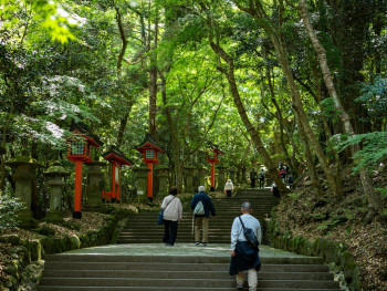 Stone steps leading to temple entrance through maple trees Photo by Kouji Tsuru on Unsplash Stone steps leading to temple entrance through maple trees Photo by Kouji Tsuru on Unsplash