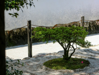 Shadows moving across raked gravel garden Photo by Jonathan Phelps on Unsplash Shadows moving across raked gravel garden Photo by Jonathan Phelps on Unsplash
