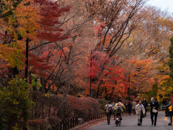 One of Tokyo's best-kept secret places.