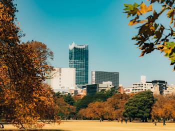 Shinjuku Gyoen in autumn. Photo by Squids Z on Unsplash Shinjuku Gyoen in autumn. Photo by Squids Z on Unsplash