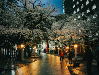 People walking along the lantern lit path: Photo by DRAPE Rasidi: Pexels
