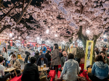 Crowds enjoying hanami parties under full-bloom cherry trees. Photo by Zhaoli JIN on Unsplash Crowds enjoying hanami parties under full-bloom cherry trees. Photo by Zhaoli JIN on Unsplash