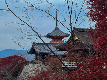 Kiyomizu-dera Temple's wooden stage with autumn valley view below. Image by Nelemson Guevarra from Unsplash Kiyomizu-dera Temple's wooden stage with autumn valley view below. Image by Nelemson Guevarra from Unsplash