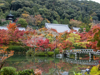 Tofukuji Temple's famous bridge surrounded by autumn maple canopy. Image by Caleb Jack from Unsplash Tofukuji Temple's famous bridge surrounded by autumn maple canopy. Image by Caleb Jack from Unsplash