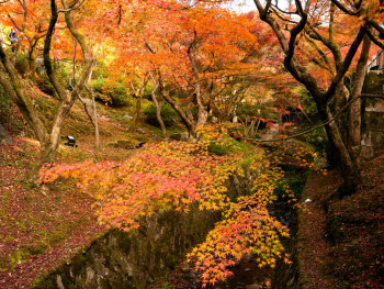 Stone path along a canal with autumn trees reflecting in the water. Image by David Emrich from Unsplash Stone path along a canal with autumn trees reflecting in the water. Image by David Emrich from Unsplash