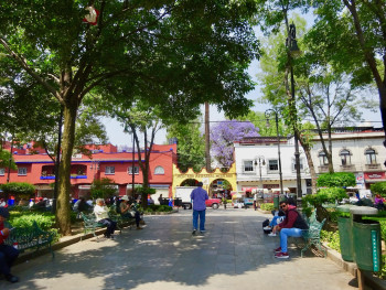 Colorful Colonial Buildings in Coyoacán Colorful Colonial Buildings in Coyoacán