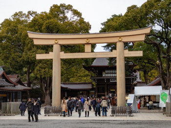 Torii Gate at Meiji Jingu Shrine Torii Gate at Meiji Jingu Shrine