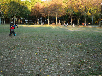 Small neighborhood park with local residents exercising in the early morning. small neighborhood park with local residents exercising in the early morning osaka Small neighborhood park with local residents exercising in the early morning. small neighborhood park with local residents exercising in the early morning osaka