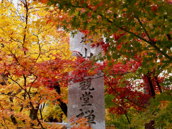 A historical marker or information sign near autumn trees, explaining the cultural and historical significance of the location and its seasonal traditions Photo by Gang Hao on Unsplash A historical marker or information sign near autumn trees, explaining the cultural and historical significance of the location and its seasonal traditions Photo by Gang Hao on Unsplash