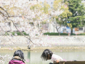Children collecting fallen cherry blossom petals along waterways Photo by HONG FENG on Unsplash Children collecting fallen cherry blossom petals along waterways Photo by HONG FENG on Unsplash