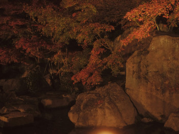 Japanese rock garden illuminated at night with subtle lighting Photo by Mak on Unsplash Japanese rock garden illuminated at night with subtle lighting Photo by Mak on Unsplash