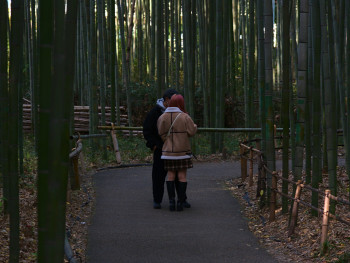 Serene moment at bamboo forest with guest and host. Photo by inti albuquerque on Unsplash Serene moment at bamboo forest with guest and host. Photo by inti albuquerque on Unsplash