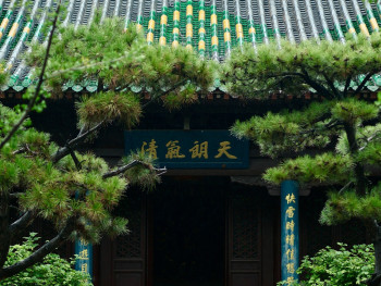Tenryu-ji temple entrance with bamboo background. Photo by · 冷毛 on Unsplash Tenryu-ji temple entrance with bamboo background. Photo by · 冷毛 on Unsplash