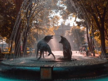 Iconic fountain in Coyoacan Iconic fountain in Coyoacan