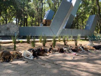 Parque España in Colonia Condesa Parque España in Colonia Condesa