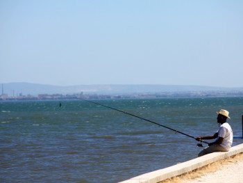 Person sitting by the Tagus River 