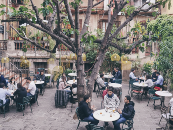 Overgrown convent garden bar
