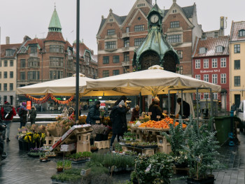 Stalls and locals at Utrecht market on Vredenburg Square Photo by Yulia Z on Unsplash Stalls and locals at Utrecht market on Vredenburg Square Photo by Yulia Z on Unsplash