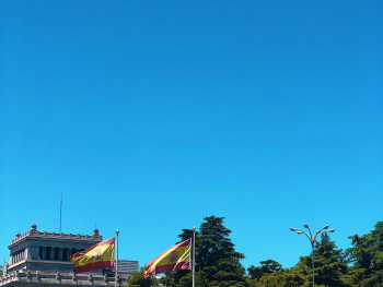 Peace Palace facade with flags and soft morning light Photo by Turhan Can Kargin on Unsplash Peace Palace facade with flags and soft morning light Photo by Turhan Can Kargin on Unsplash