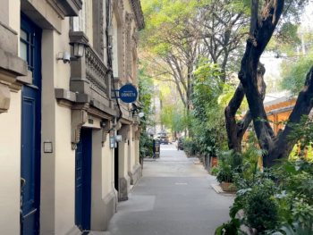 Sidewalk in Trendy Roma Norte