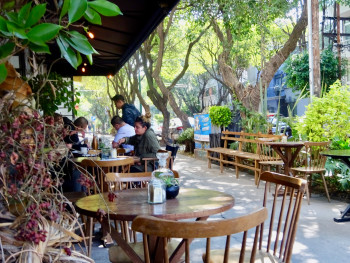 Colonia Condesa Cafe
