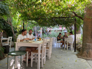 Outdoor café in Príncipe Real garden with a cedar tree providing natural shade Outdoor café in Príncipe Real garden with a cedar tree providing natural shade