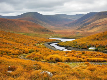 Golden autumn colors in the Wicklow Mountains with clear views and crisp air Golden autumn colors in the Wicklow Mountains with clear views and crisp air