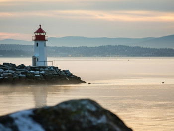 Lighthouse Park with city lights in distance Lighthouse Park with city lights in distance