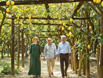 Sorrento lemon terraces with pagliarelle canopies  Sorrento lemon terraces with pagliarelle canopies