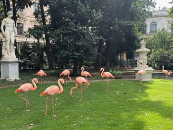Villa Invernizzi’s secret courtyard with pink flamingos and tropical greenery Villa Invernizzi’s secret courtyard with pink flamingos and tropical greenery