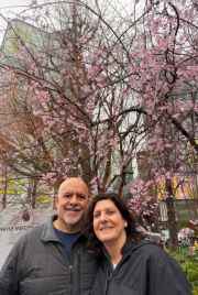 A couple enjoys the cherry blossoms on a cloudy Tokyo day.
