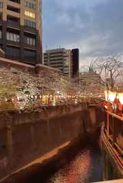 In Tokyo, lanterns twinkle above the serene canal at dusk.