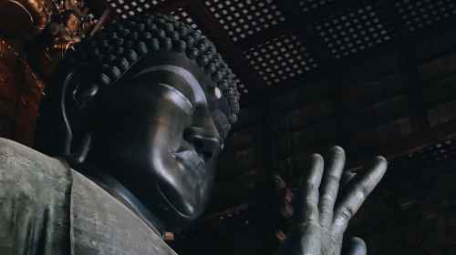 Day trip to Nara, where past meets present