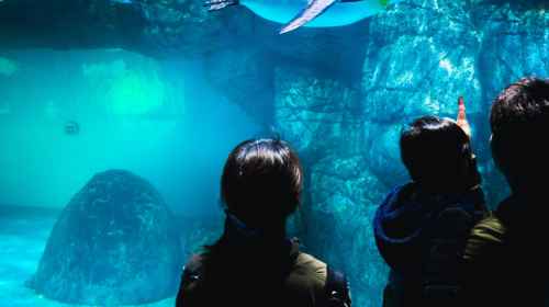 Family day in Yokohama with a local