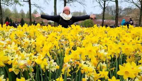 Explore Keukenhof, the garden of Europe
